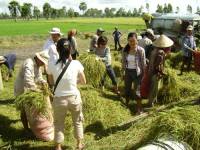 Về An Giang thử làm nông dân