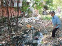 Lo chuyện “bao đồng”