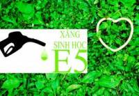 Xăng sinh học và sự lựa chọn của người thông minh