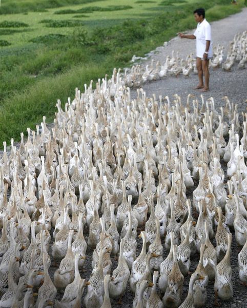 Sống đẹp là xếp hàng