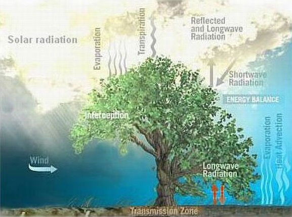 Cây xanh nhân tạo trong tương lai 7